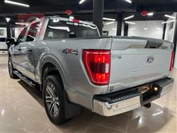 فۆرد F-150